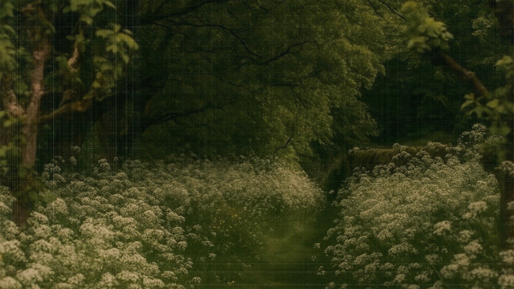 A quiet green field path surrounded by wildflowers and trees, representing embodied motherhood, nurtured infant sleep, and gentle early parenting.